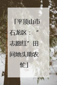 平顶山市石龙区：“志愿红”田间地头助农忙