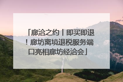 廊洽之约丨即买即退！廊坊离境退税服务端口亮相廊坊经洽会