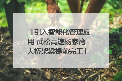 引入智能化管理应用 武松高速杨家湾大桥架梁提前完工