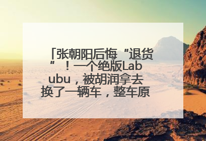 张朝阳后悔“退货”！一个绝版Labubu，被胡润拿去换了一辆车，整车原价值上百万元
