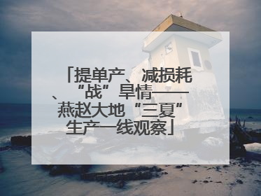 提单产、减损耗、“战”旱情——燕赵大地“三夏”生产一线观察