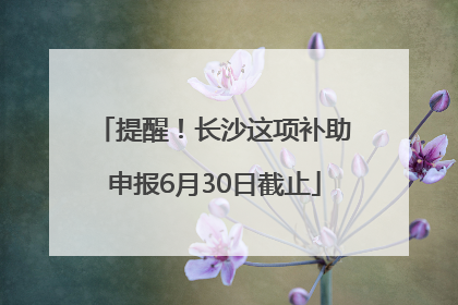 提醒！长沙这项补助申报6月30日截止