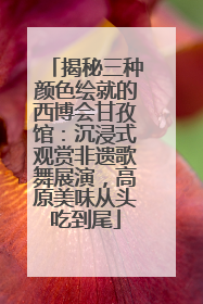 揭秘三种颜色绘就的西博会甘孜馆：沉浸式观赏非遗歌舞展演，高原美味从头吃到尾