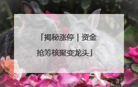 揭秘涨停｜资金抢筹核聚变龙头