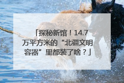 探秘新馆！14.7万平方米的“北疆文明容器”里都装了啥？