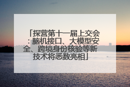 探营第十一届上交会：脑机接口、大模型安全、跨境身份核验等新技术将悉数亮相