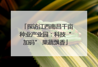 探访江西南昌千亩种业产业园：科技“加码” 果蔬飘香