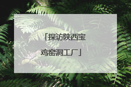 探访陕西宝鸡窑洞工厂