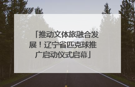 推动文体旅融合发展！辽宁省匹克球推广启动仪式启幕