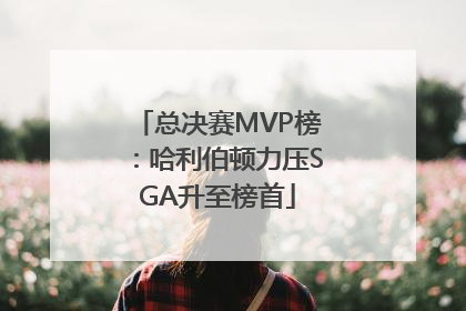 总决赛MVP榜：哈利伯顿力压SGA升至榜首