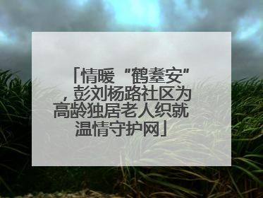 情暖“鹤耋安”，彭刘杨路社区为高龄独居老人织就温情守护网
