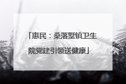 惠民：桑落墅镇卫生院党建引领送健康