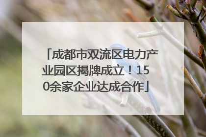 成都市双流区电力产业园区揭牌成立！150余家企业达成合作