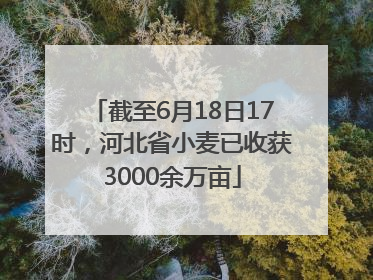 截至6月18日17时，河北省小麦已收获3000余万亩