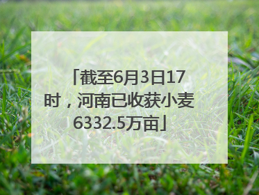 截至6月3日17时，河南已收获小麦6332.5万亩
