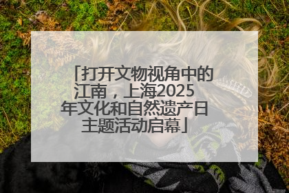 打开文物视角中的江南，上海2025年文化和自然遗产日主题活动启幕