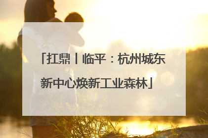 扛鼎丨临平：杭州城东新中心焕新工业森林
