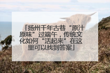 扬州千年古巷“原汁原味”过端午，传统文化如何“活起来”在这里可以找到答案
