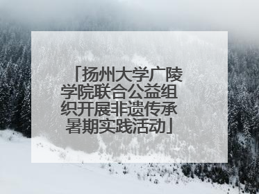 扬州大学广陵学院联合公益组织开展非遗传承暑期实践活动