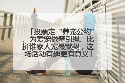 投票定“养宠公约”、为爱宠做牵引绳、比拼谁家人宠最默契，这场活动有趣更有意义