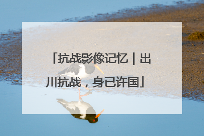抗战影像记忆｜出川抗战，身已许国