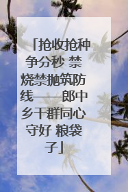 抢收抢种争分秒 禁烧禁抛筑防线——郎中乡干群同心守好 粮袋子