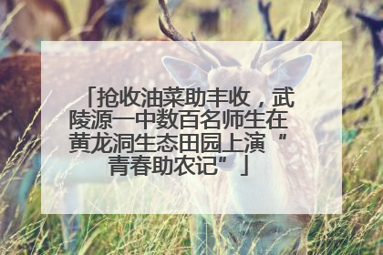 抢收油菜助丰收，武陵源一中数百名师生在黄龙洞生态田园上演“青春助农记”