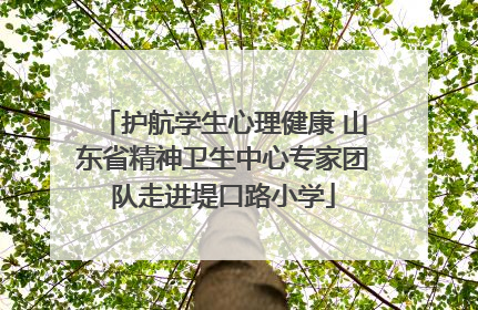 护航学生心理健康 山东省精神卫生中心专家团队走进堤口路小学
