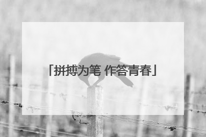拼搏为笔 作答青春
