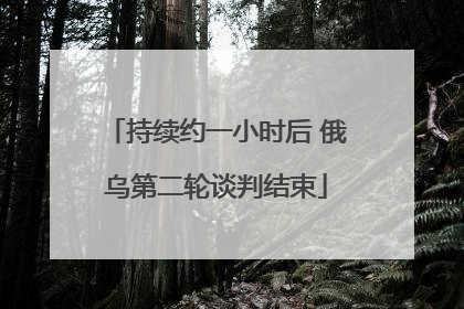 持续约一小时后 俄乌第二轮谈判结束