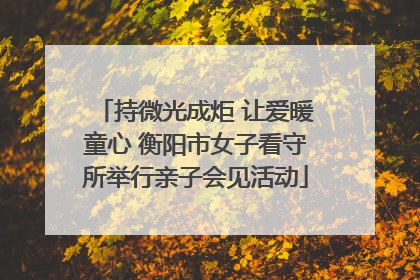 持微光成炬 让爱暖童心 衡阳市女子看守所举行亲子会见活动