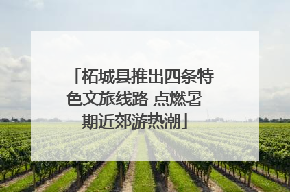 柘城县推出四条特色文旅线路 点燃暑期近郊游热潮