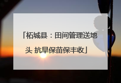 柘城县：田间管理送地头 抗旱保苗保丰收