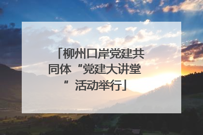 柳州口岸党建共同体“党建大讲堂”活动举行