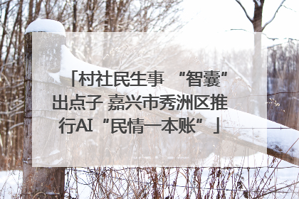 村社民生事 “智囊”出点子 嘉兴市秀洲区推行AI“民情一本账”