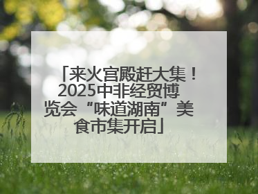 来火宫殿赶大集！2025中非经贸博览会“味道湖南”美食市集开启