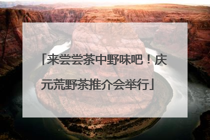 来尝尝茶中野味吧！庆元荒野茶推介会举行
