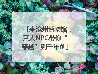来沧州博物馆，真人NPC带你“穿越”到千年前