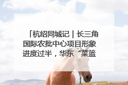 杭绍同城记｜长三角国际农批中心项目形象进度过半，华东“菜篮子”建设加码提速！