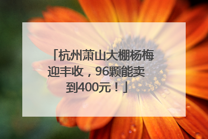 杭州萧山大棚杨梅迎丰收，96颗能卖到400元！