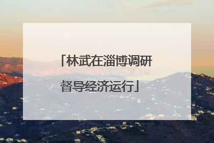 林武在淄博调研督导经济运行