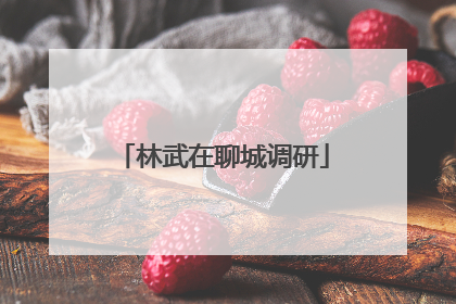 林武在聊城调研