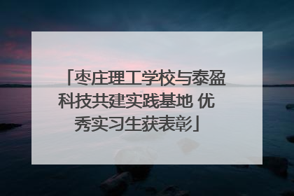 枣庄理工学校与泰盈科技共建实践基地 优秀实习生获表彰