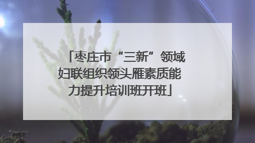 枣庄市“三新”领域妇联组织领头雁素质能力提升培训班开班