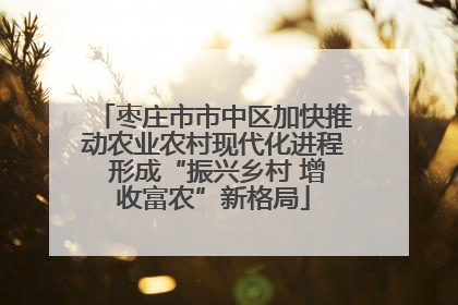 枣庄市市中区加快推动农业农村现代化进程 形成“振兴乡村 增收富农”新格局