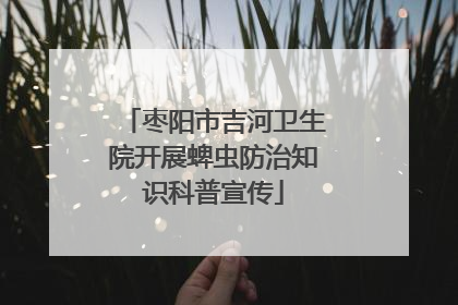 枣阳市吉河卫生院开展蜱虫防治知识科普宣传