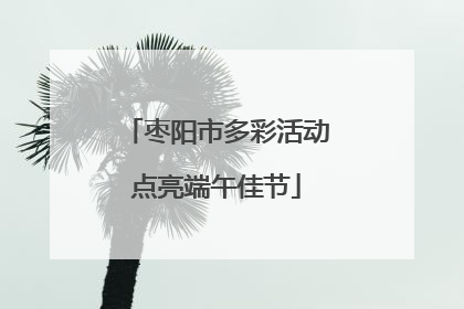 枣阳市多彩活动点亮端午佳节