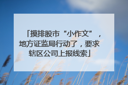 摸排股市“小作文”，地方证监局行动了，要求辖区公司上报线索