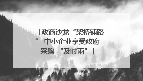 政商沙龙“架桥铺路” 中小企业享受政府采购 “及时雨”