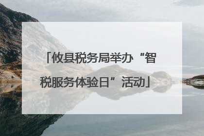 攸县税务局举办“智税服务体验日”活动